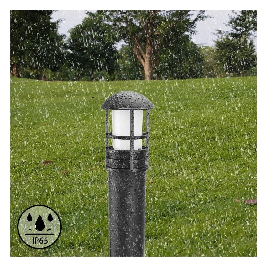 LED Utomhuslampa LED/3W/230V 4000K IP65