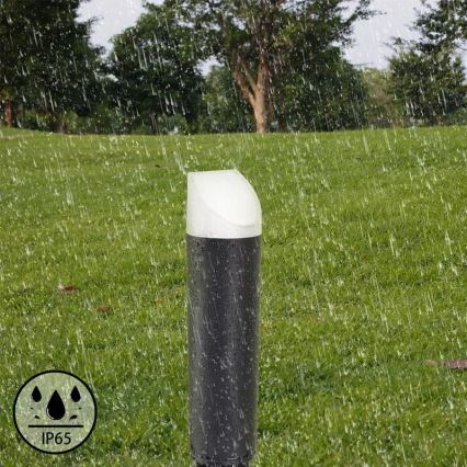 LED Utomhuslampa LED/3W/230V 4000K IP65