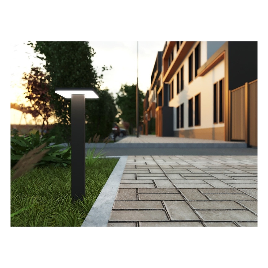 LED Utomhuslampa med sensor BARI LED/10W/230V 4000K 60 cm IP54 antracit