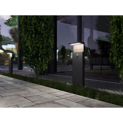 LED Utomhuslampa med sensor NATURA LED/12W/230V 4000K IP54 brun/antracit