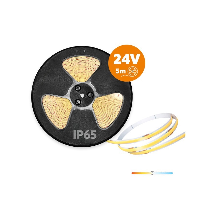 LED utomhusremsa TRAMO LED/50W/24V 5m IP65 4000K