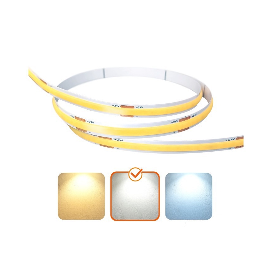 LED utomhusremsa TRAMO LED/50W/24V 5m IP65 4000K