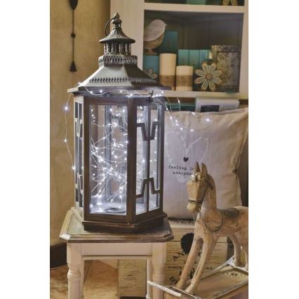 LED utomhusslinga 100xLED/15m IP44 kallvit