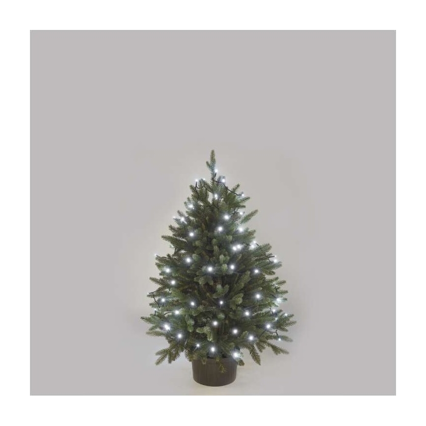 LED utomhusslinga 40xLED/9m IP44 kallvit