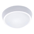 LED utomhustakarmatur LED/30W/230V IP65
