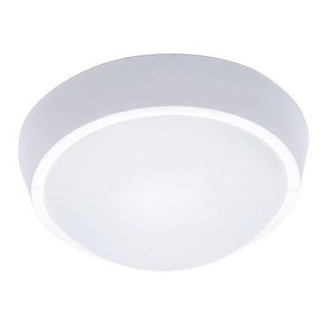 LED utomhustakarmatur LED/30W/230V IP65