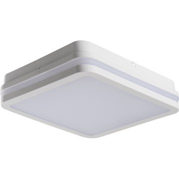LED Utomhustaklampa BENO LED/24/30W/230V 3000/3500/4000K IP65 vit fyrkantig