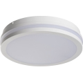 LED Utomhustaklampa BENO LED/24/30W/230V 3000/3500/4000K IP65 vit rund