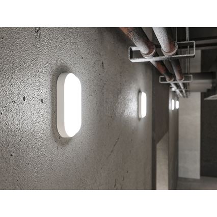 LED utomhusväggarmatur LED/6W/230V IP54 vit