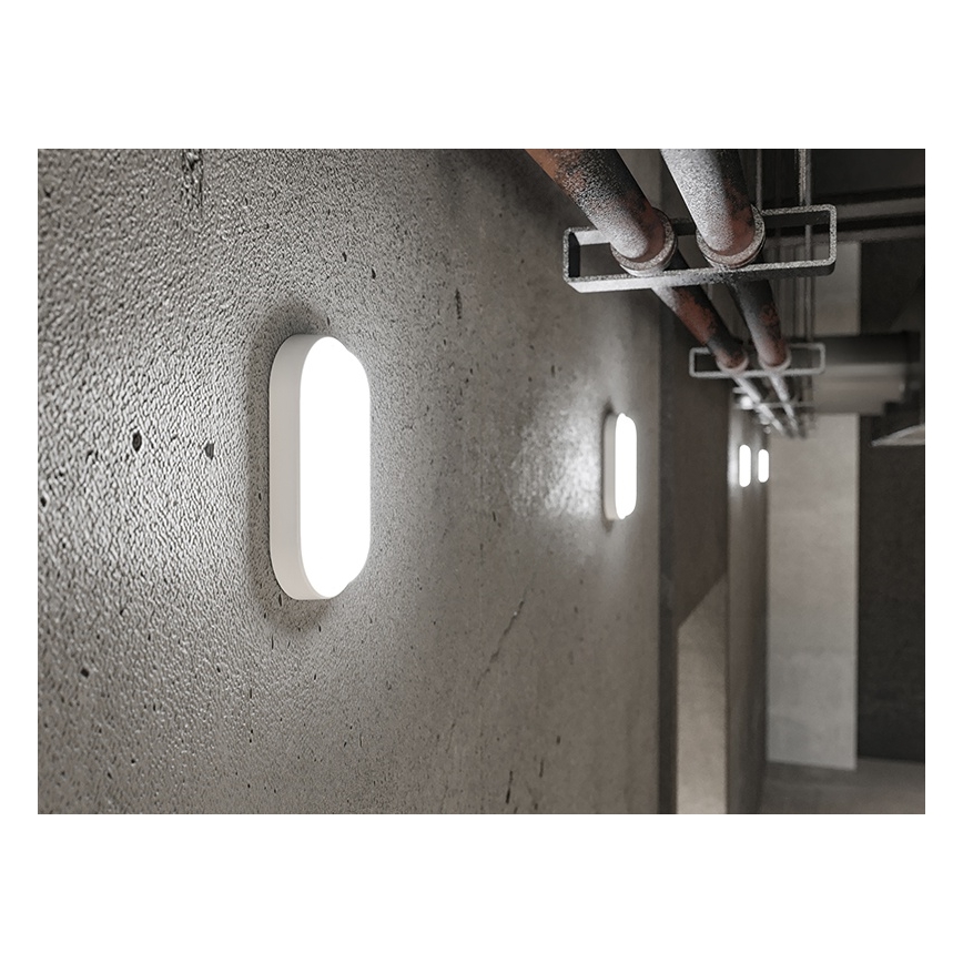 LED utomhusväggarmatur LED/6W/230V IP54 vit