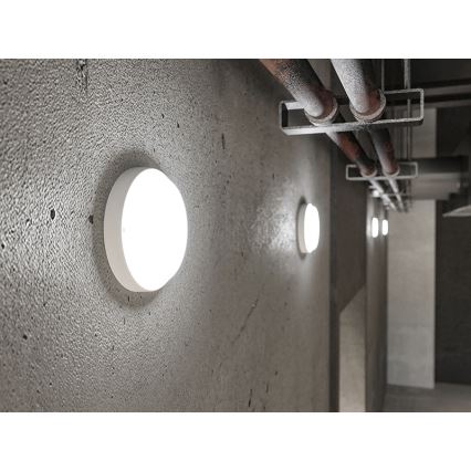 LED utomhusväggarmatur LED/9W/230V IP54 vit