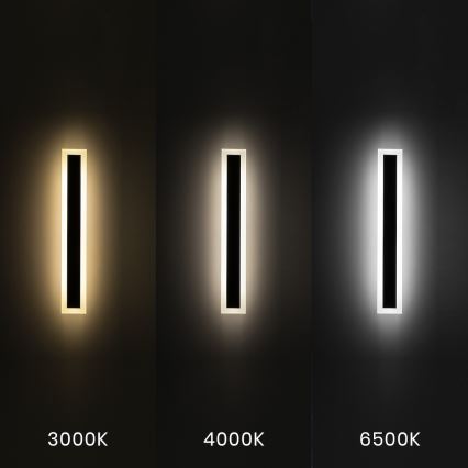 LED utomhusväggarmatur WOW LED/20W/230V 3000/4000/6500K 60 cm IP54 svart