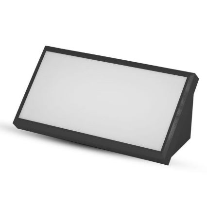 LED Utomhus Vägglampa LED/20W/230V 6400K IP65 svart