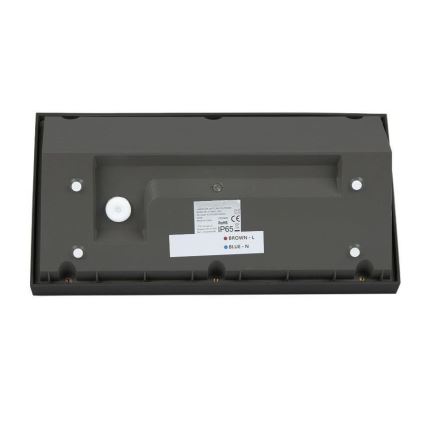 LED Utomhus Vägglampa LED/20W/230V 6400K IP65 svart