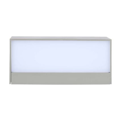 LED Utomhus Vägglampa LED/12W/230V 6400K IP65