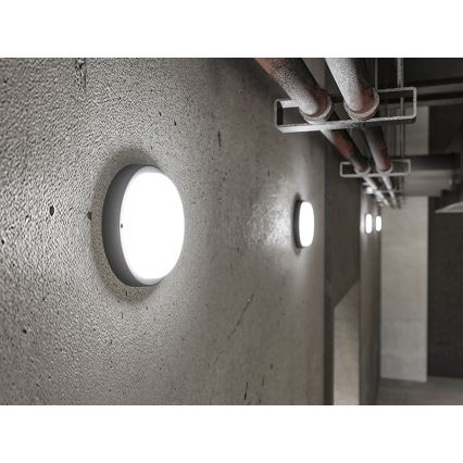 LED utomhusvägglampa LED/18W/230V IP54 svart
