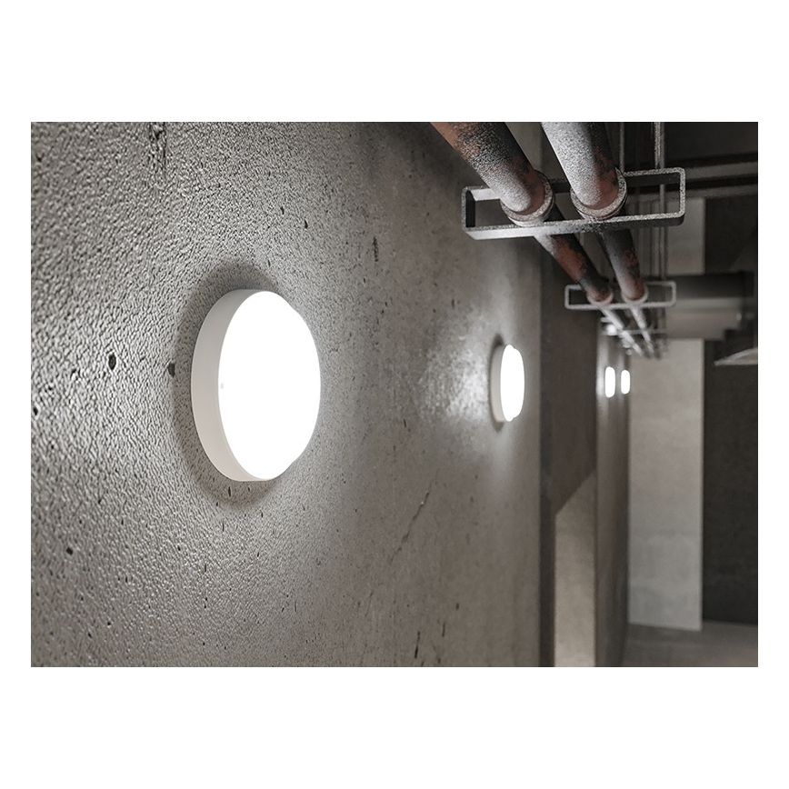 LED utomhusvägglampa LED/18W/230V IP54 vit