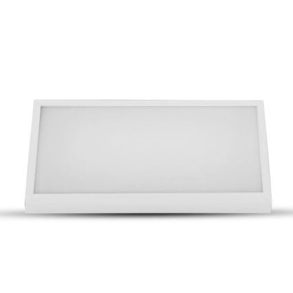LED Utomhus Vägglampa LED/20W/230V 4000K IP65 vit