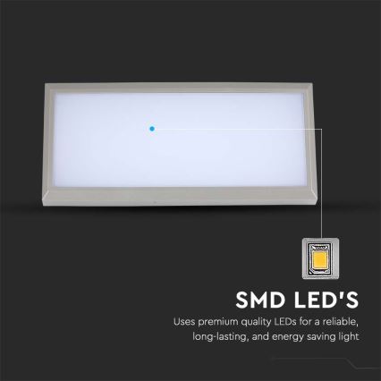 LED Utomhus Vägglampa LED/20W/230V 6400K IP65 grå