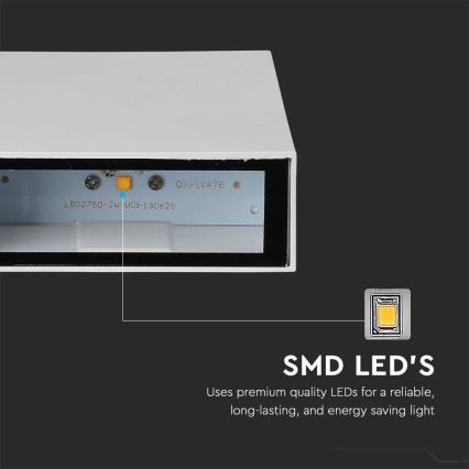 LED Utomhus Vägglampa LED/4W/230V 6400K IP65 vit