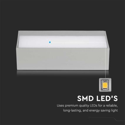 LED Utomhus Vägglampa LED/9W/230V 6400K IP65