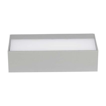 LED Utomhus Vägglampa LED/9W/230V 6400K IP65