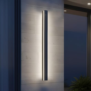 LED utomhusvägglampa MIRANA LED/25W/230V 4000K IP44 120 cm svart