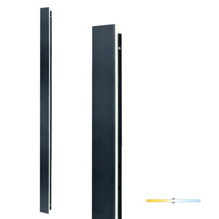 LED utomhusvägglampa MIRANA LED/25W/230V 4000K IP44 120 cm svart