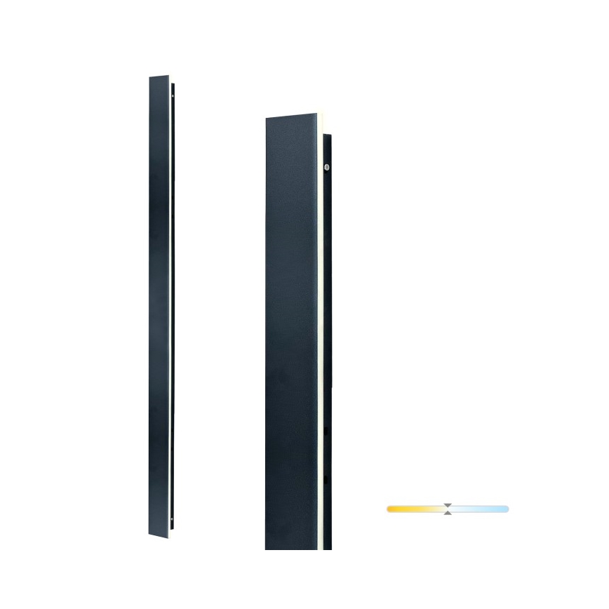 LED utomhusvägglampa MIRANA LED/25W/230V 4000K IP44 120 cm svart