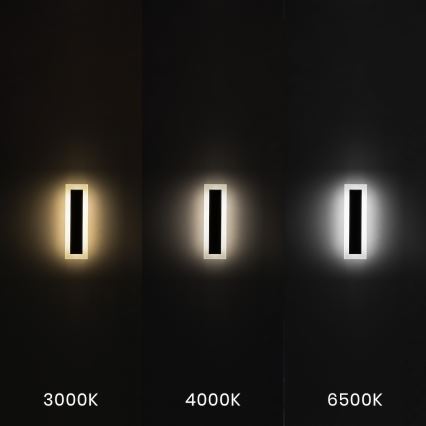 LED utomhusvägglampa WOW LED/10W/230V 3000/4000/6500K 30 cm IP54 svart