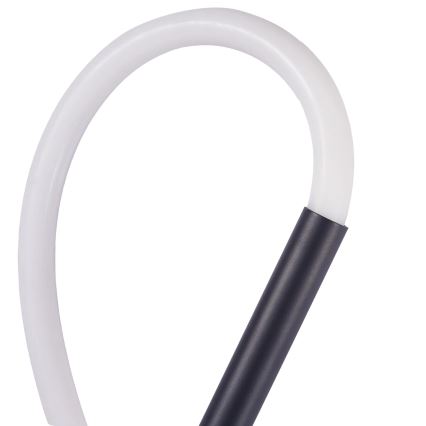 LED väggbelysning EMMA LED/19W/230V svart