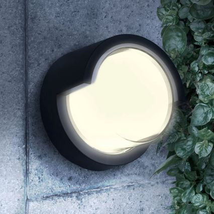 LED vägglampa för utomhusbruk ESSEN LED/10W/230V IP44 svart