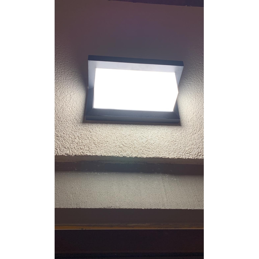 LED Vägglampa för utomhusbruk LED/12W/230V IP54 svart