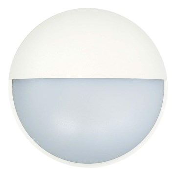 LED vägglampa för utomhusbruk LED/14W/230V IP54 vit