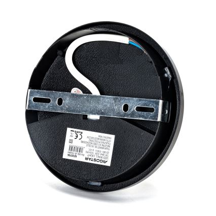 LED vägglampa för utomhusbruk LED/15W/230V 6500K diameter 15,5 cm svart IP65