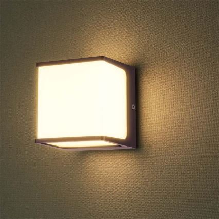 LED vägglampa för utomhusbruk LED/8W/230V IP65 4000K brun