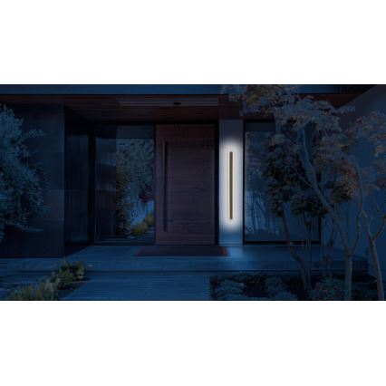 LED vägglampa för utomhusbruk STICK LED/12W/230V IP65 3000K 60 cm