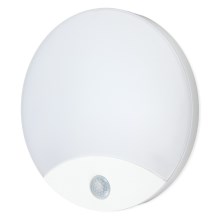 LED Vägglampa med sensor för badrum ORBIS LED/10W/230V IP44