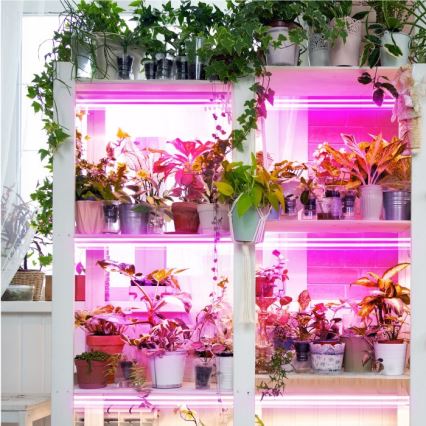 LED Under-shelf Plant Growing Light GROWLY 2xLED/8,5W/230V vit