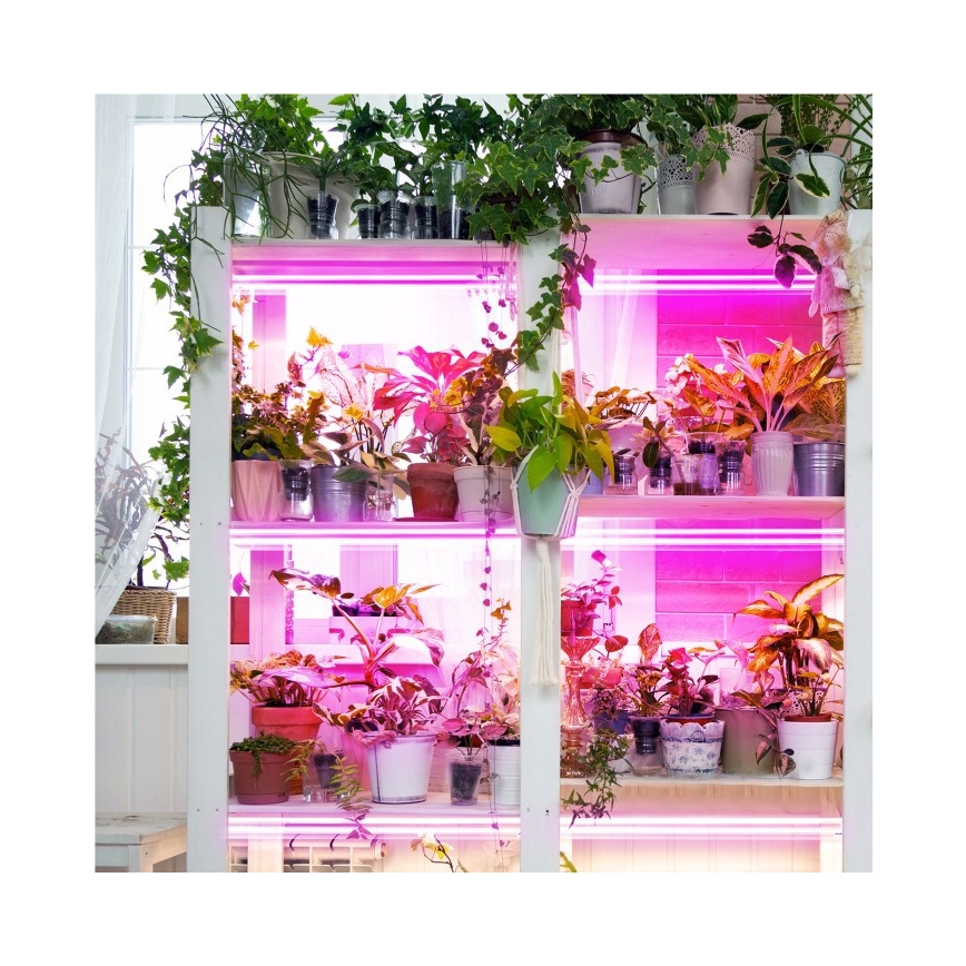 LED Under-shelf Plant Growing Light GROWLY 2xLED/8,5W/230V vit