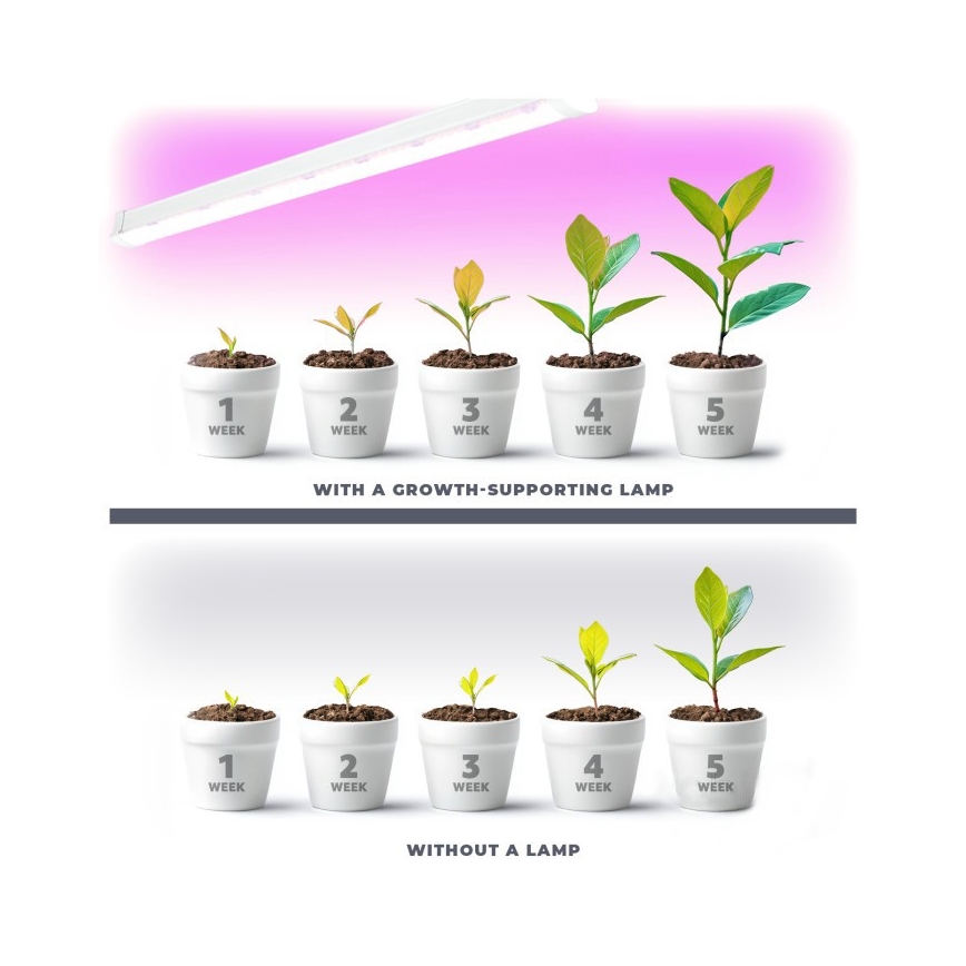 LED Under-shelf Plant Growing Light GROWLY 2xLED/8,5W/230V vit