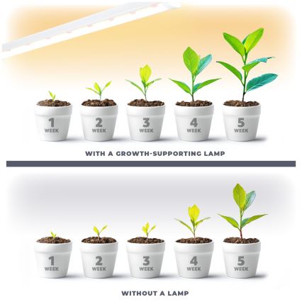 LED Under-shelf Plant Growing Light GROWLY LED/15W/230W