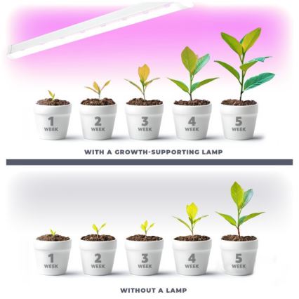 LED Under-shelf Plant Grow Light GROWLY LED/9W/230V vit