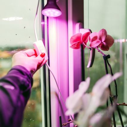 LED-lampa för växtbelysning PLANTY E27/7W/230V 1200K svart