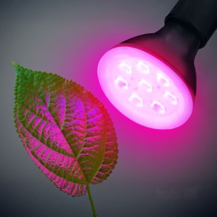 LED-lampa för växtbelysning PLANTY E27/7W/230V 1200K svart