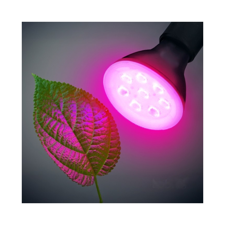 LED-lampa för växtbelysning PLANTY E27/7W/230V 1200K svart