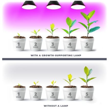 LED-lampa för växtbelysning PLANTY E27/7W/230V 1200K svart