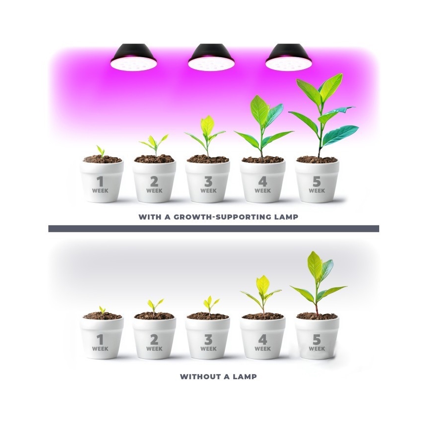 LED-lampa för växtbelysning PLANTY E27/7W/230V 1200K svart