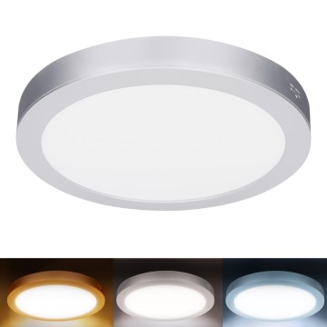 LED ytmonterad/infälld panel 2-i-1 24W/230V 3000/4000/6000K Ø 30 cm IP54 silver