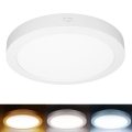 LED ytmonterad/infälld panel 2-i-1 24W/230V 3000/4000/6000K Ø 30 cm IP54 vit